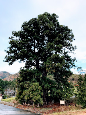 吉方位 岩室温泉