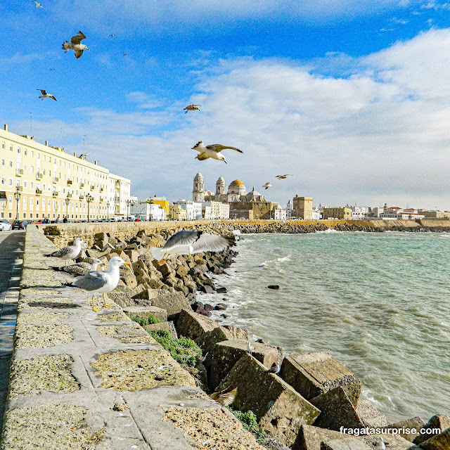 Campo del Sur em Cádiz na Andaluzia