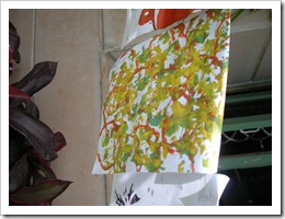 DSCN2471