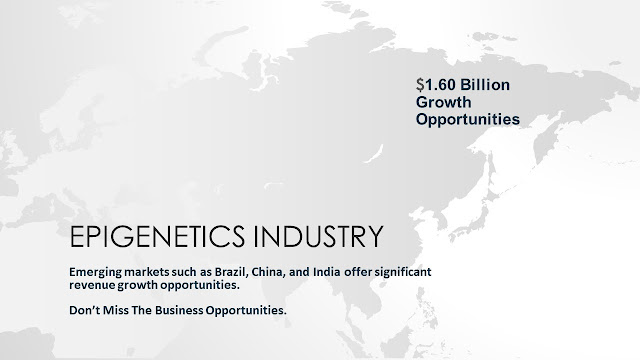 Epigenetics Market