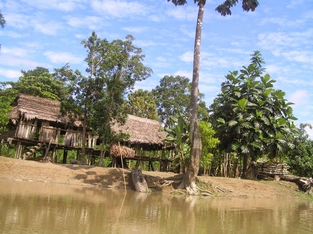 #Amazônia