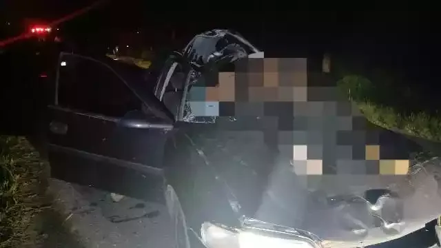 Carro atropela cavalo em rodovia de Iguape e deixa dois feridos