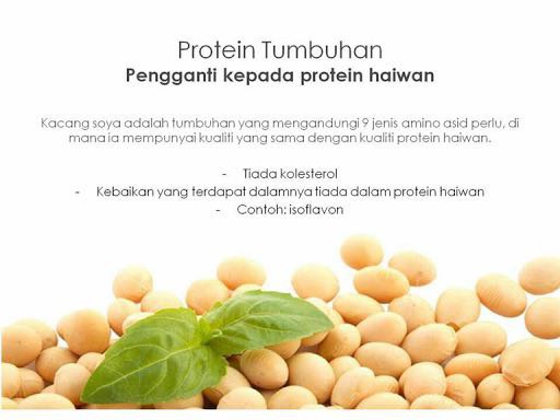 image result for kelebihan protein soya