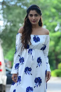 Actress Payal Rajput Stills At RDX love Movie Trailer launch