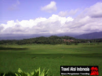 Foto Pemandangan Area Persawahan Didaerah Purbalingga