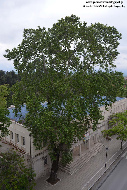 Καλημέρα Κατερίνη, καλημέρα Πιερία. Παρασκευή σήμερα 5 Μαΐου 2017