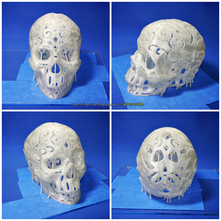 2014skull_07.jpg