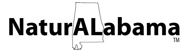 alabama logo pics. wonders of Alabama.