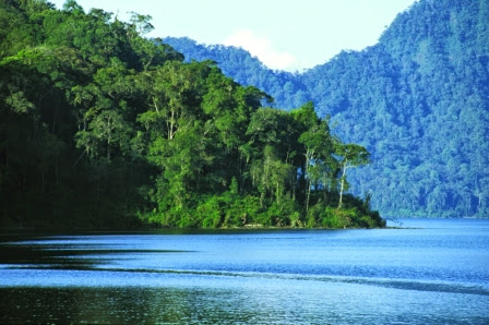 Hutan Paling Liar Di Indonesia