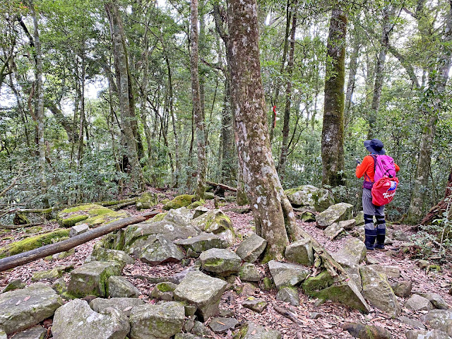 往30.5K--休息平台