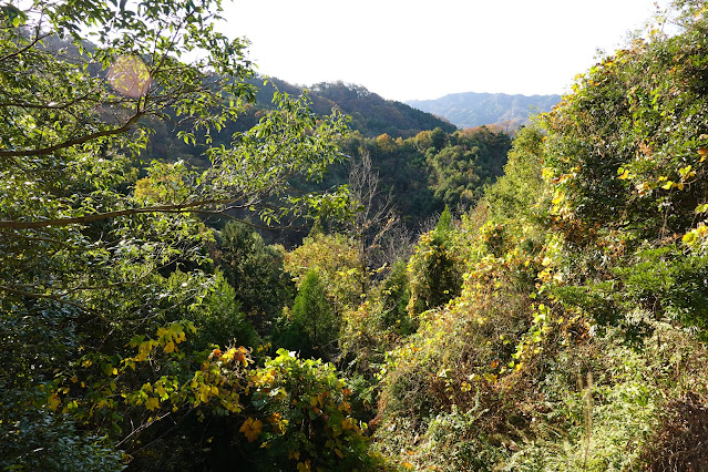 鳥取県西伯郡南部町上中谷 鎌倉山グリーンラインからの眺望