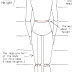 Body Proportions - Drawing Human Proportions