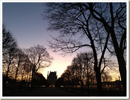 sunrise tuileries trees louvre