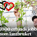 8.000 erbjuds jobb inom...