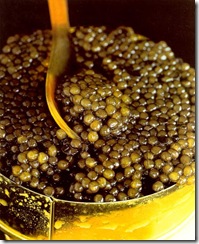 caviar_in_jar_kbx