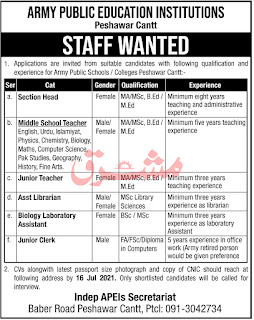 Army Public Schools and Colleges Peshawar Cantt Jobs July 2021 Teachers & Others APS&C Latest