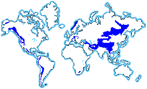 Map of Alpine Biome are at.