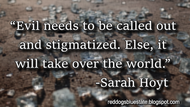 “[E]vil needs to be called out and stigmatized. Else, it will take over the world.” -Sarah Hoyt
