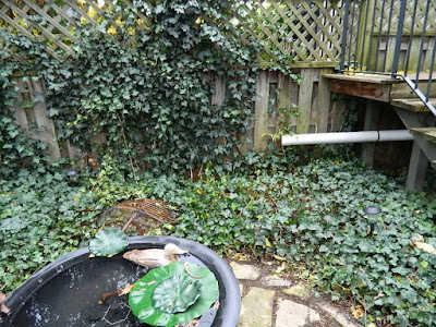 Leslieville Fall Cleanup After by Paul Jung Gardening Services--a Toronto Gardening Company