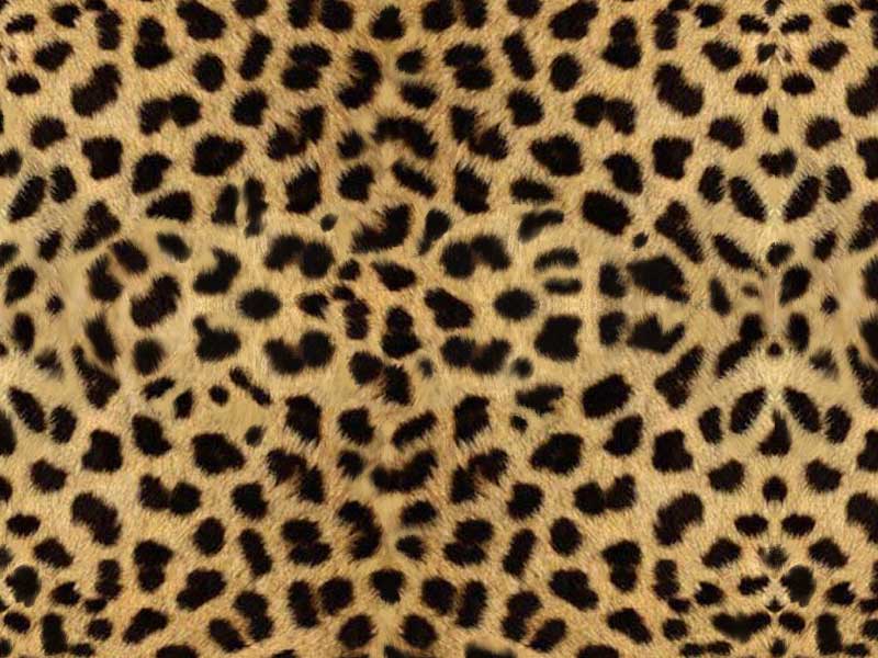 print wallpaper. Free-Leopard-Print-Wallpaper