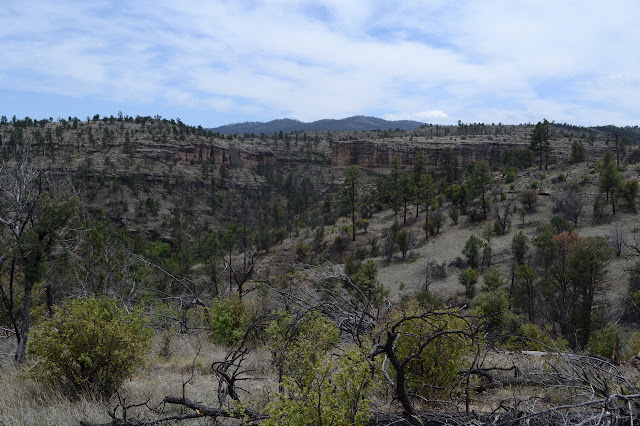 high cliffs disgorging their space