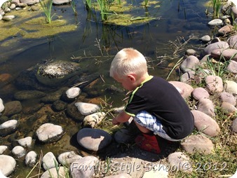 IMG_1206[1]