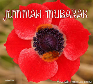 jummah mubarak messages