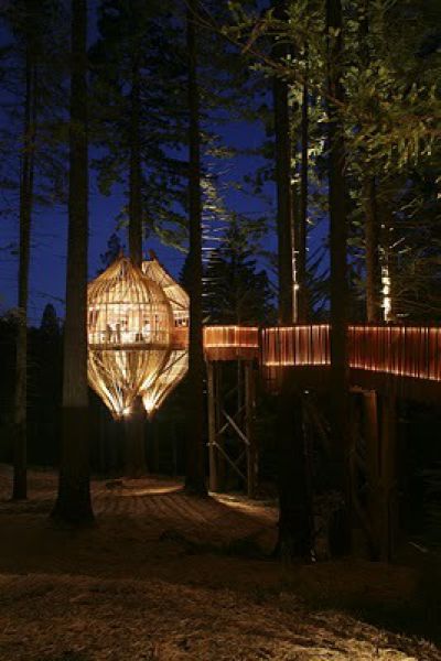 coolest hanging Tree Houses