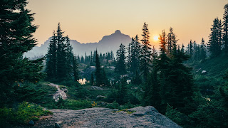 A landscape photo with rocks in the foreground mountains in the far distance and pine trees in between - the sun is low on the horizon shining between two of the trees