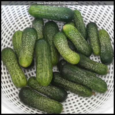 Turkish Pickle