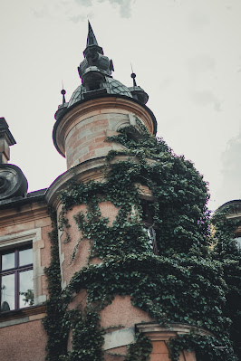 Historia w kamieniu: Każdy kąt zamku to kawałek fascynującej historii Dolnego Śląska, odzwierciedlony w architektonicznych detalach.