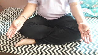 TSE Mudra or Adi Mudra