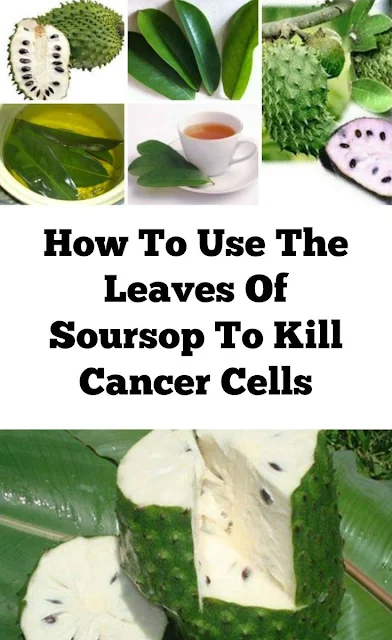 How to Use the Leaves of Soursop to Kill Cancer Cells (1000 Times Stronger Than Chemotherapy)