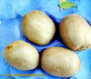 Kiwi hd image download