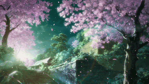 Gambar Animasi Bergerak Bunga Sakura Jepang Yang Paling Cantik