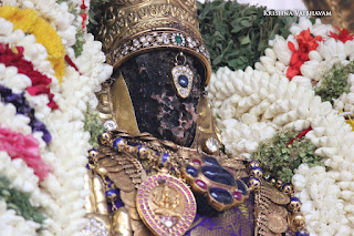 Ammavasai,Vaigasi, Purappadu,Video, Divya Prabhandam,Sri Parthasarathy Perumal, Triplicane,Thiruvallikeni,Utsavam,