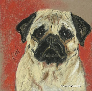 Pug Art - A Pug's Mug By Cori Solomon