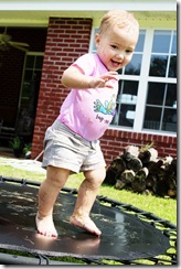IMG_5297 IMG_5297