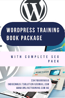 Professional Blog Designing Training With WordPress