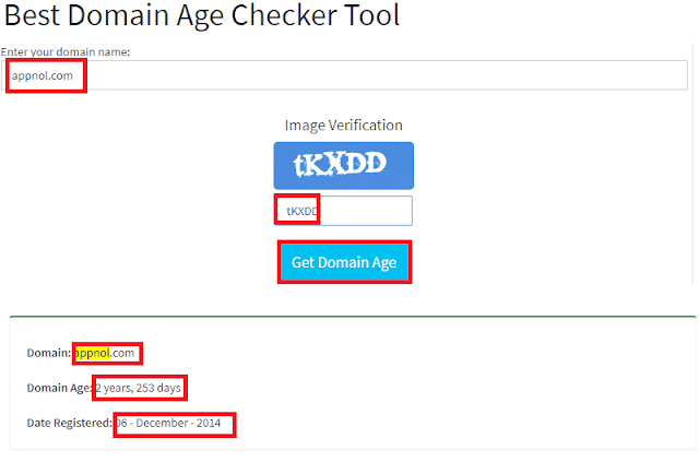 Solid SEO Tools - Domain Age Checker