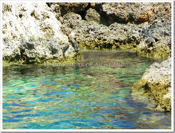 A Day At Gnejna (17)