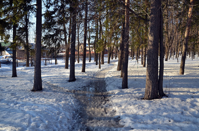 В парке Лысьвы ранней весной