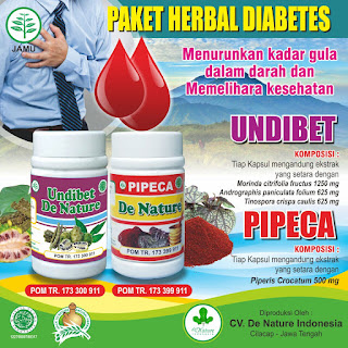 PAKET HERBAL DIABETES