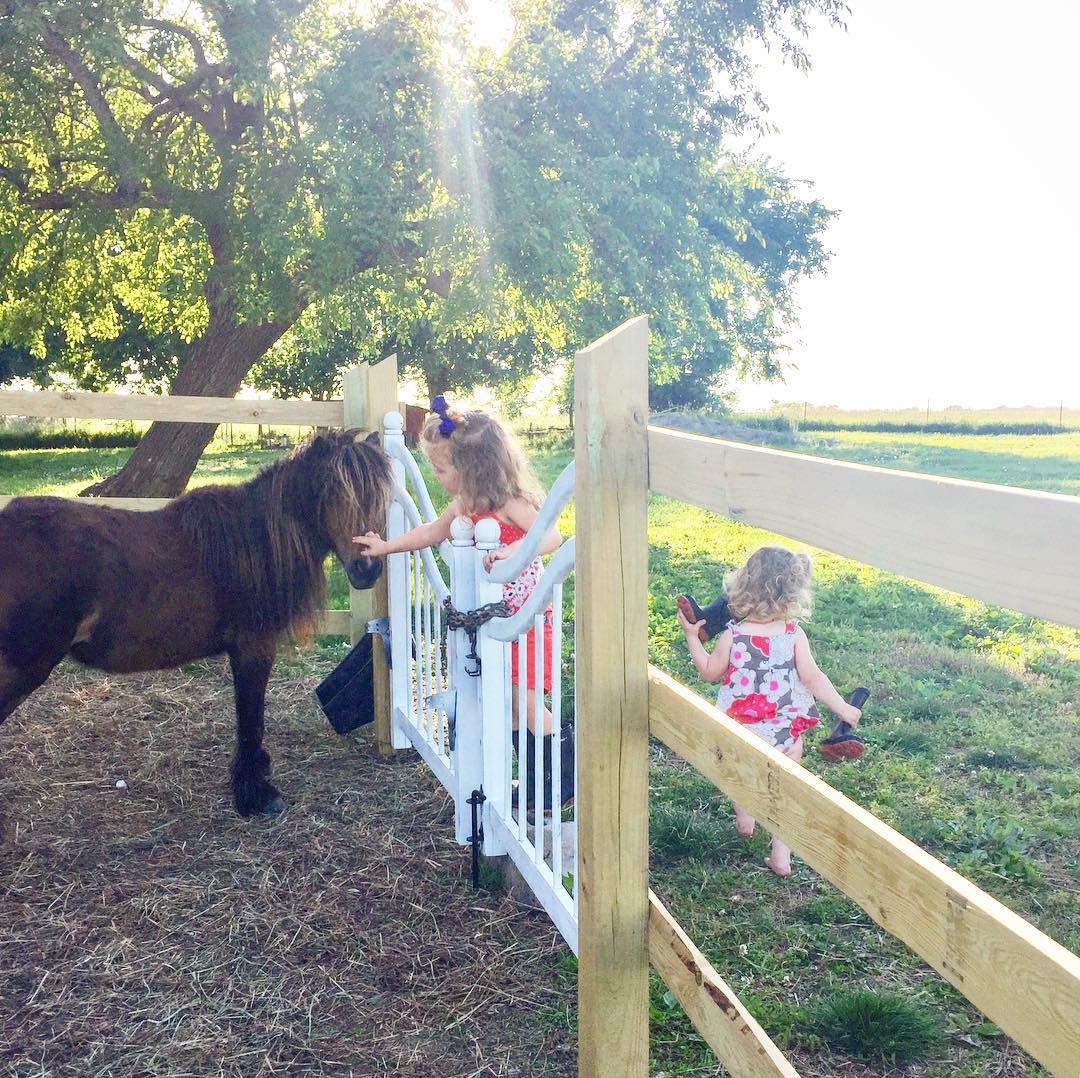 Classic country life style 