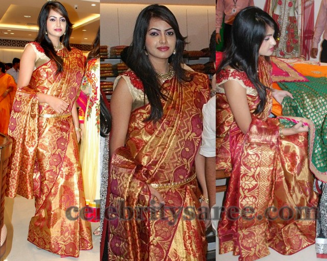 Model in Wedding Silk Saree