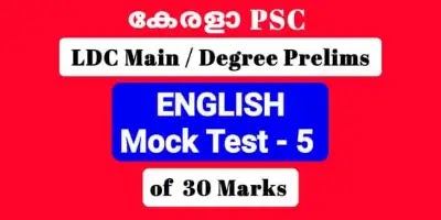 Mock Test of 30 Important Previous General English Questions LDC Main / Degree Level Prelims 
