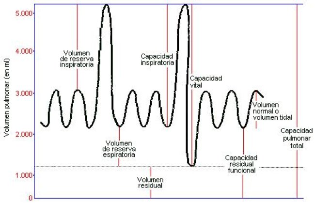 Espirometría estática