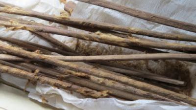 These are 2,000-year-old personal hygiene sticks with remains of cloth, excavated from the latrine at Xuanquanzhi. Credit: Hui-Yuan Yeh. Reproduced from the Journal of Archaeological Science: Reports.