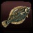 Flounder