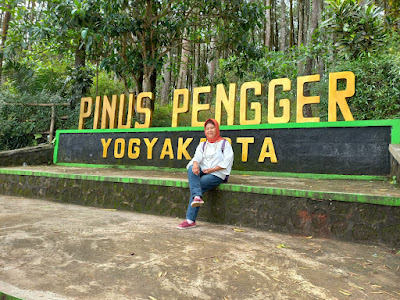 Pinus Pengger Yogya